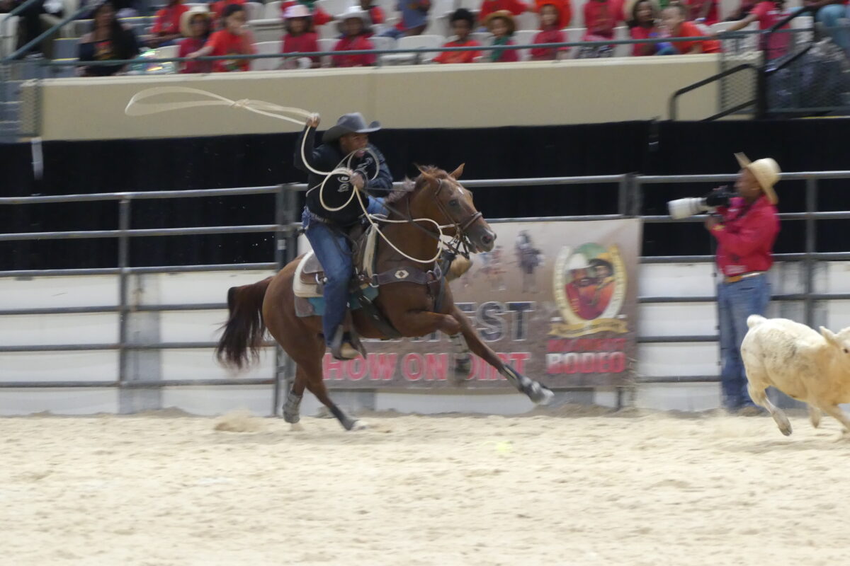 A cowboy on horseback twirls a lasso while galloping after a calf in a sandy rodeo arena.