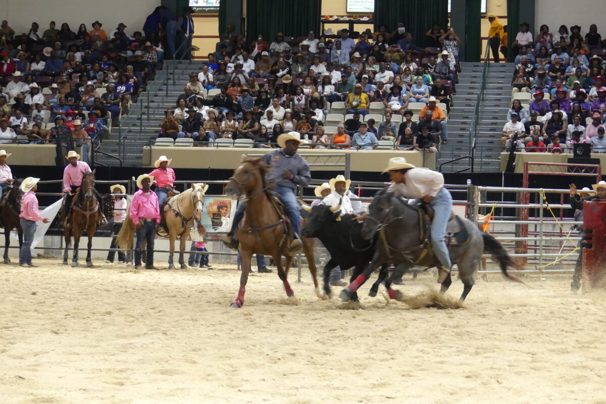 Two horseback riders chase down a steer in a sandy arena during a rodeo competition.