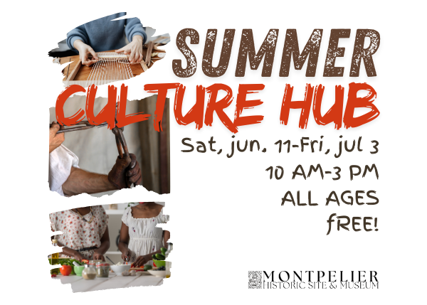 A graphic with photos of people doing hobbies and the words Summer Culture Hub. A weekly rotation of historical themes and subjects.