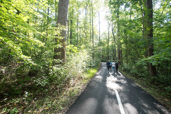 Group of people walking on a paved trail through the woods.
