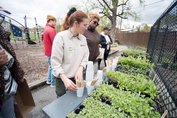 Several people standing outside near tables containing plant seedlings and wooden sticks.