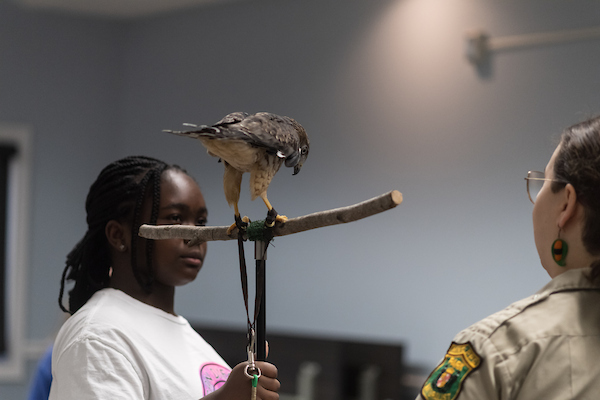 A young woman stands next to a park ranger, holding a stick on which a bird of prey is perched. A tether is on the bird's ankle.
